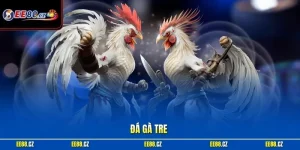 Đá gà tre